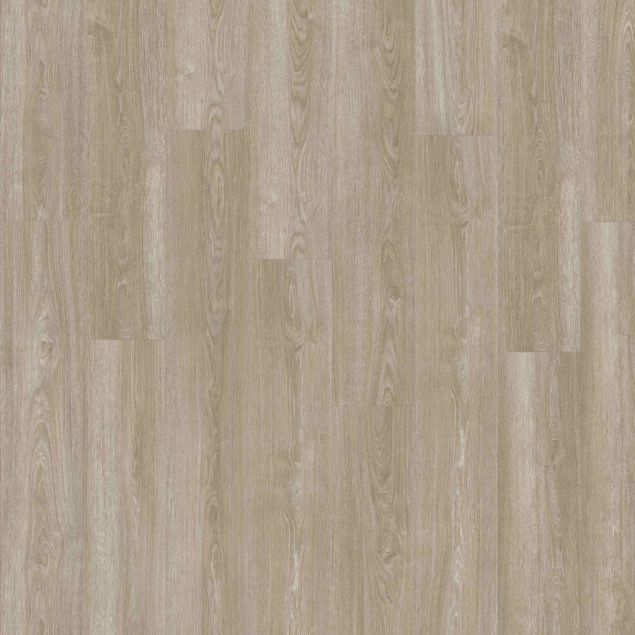 Kiri - Cherella Dryback